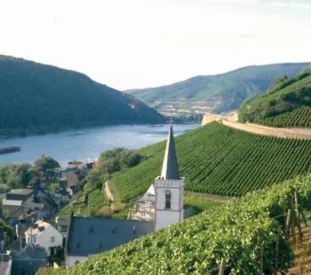 Hotel Schoen 3*