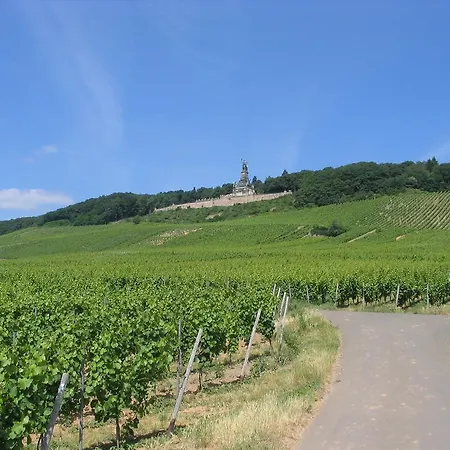 Schoen 3* Ruedesheim am Rhein