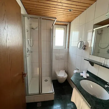 فندق Schoen Am Rhein 3*