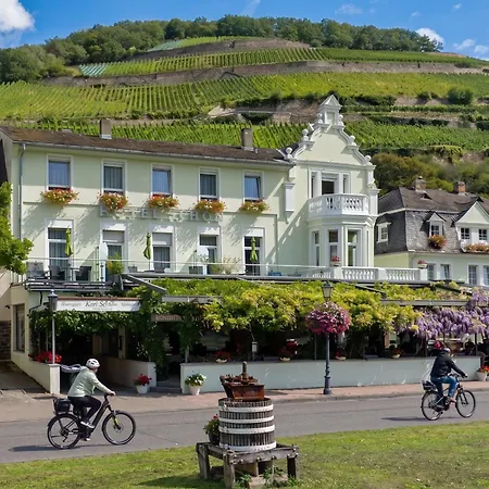 Schoen Hotel 3*