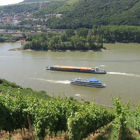 فندق Schoen Am Rhein 3*
